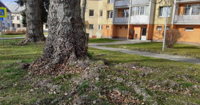 Zdroj: město Jeseník
