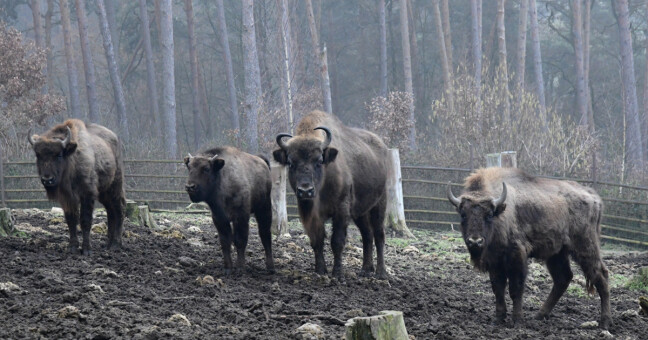 zdroj: Zoo Olomouc