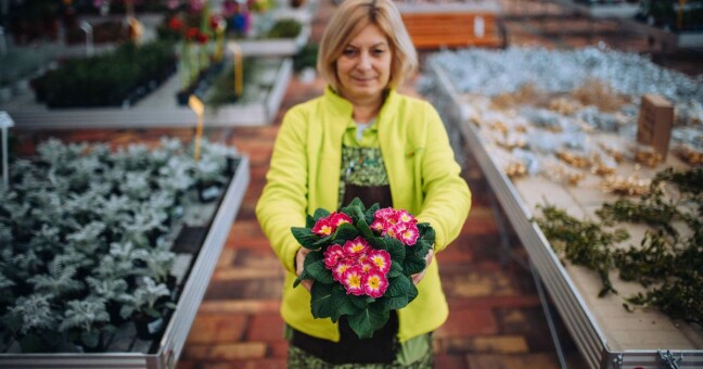 Zdroj: Florcenter