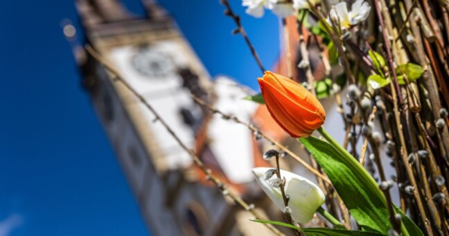 Zdroj: Olomouc.eu