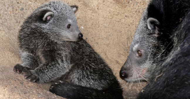 zdroj: Zoo Olomouc