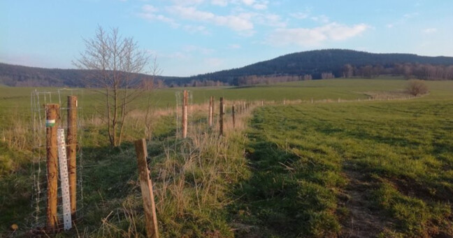 zdroj: Ceny kraje