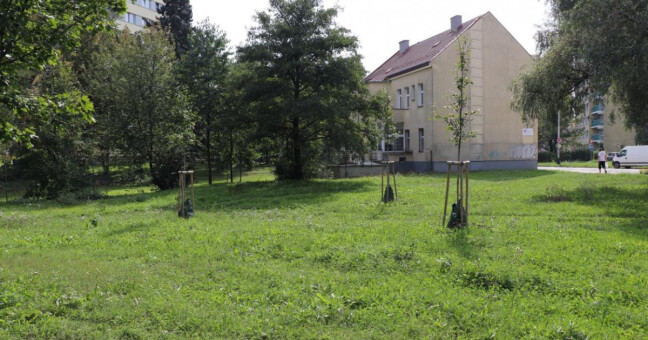 U budovy pobočky Městské knihovny v Přerově – směrem do ulice Sokolská – se začne v příštím roce budovat dešťová zahrada. Zdroj: město Přerov