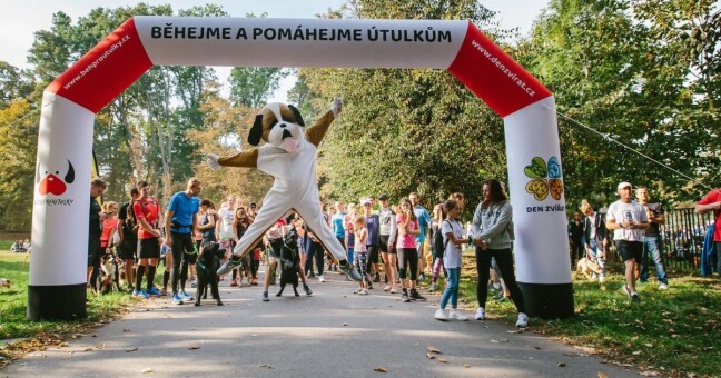 Zdroj: Běhejme a pomáhejme útulkům