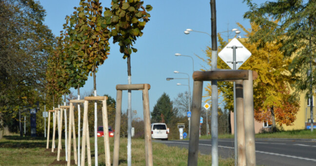 zdroj: město Olomouc