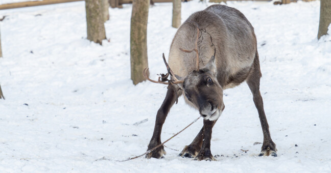 zdroj: Zoo Olomouc