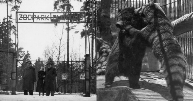 Foto: Zoo Olomouc