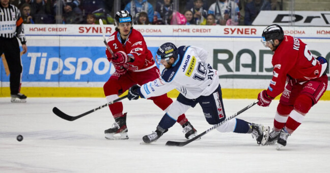 zdroj: Bílí Tygři Liberec