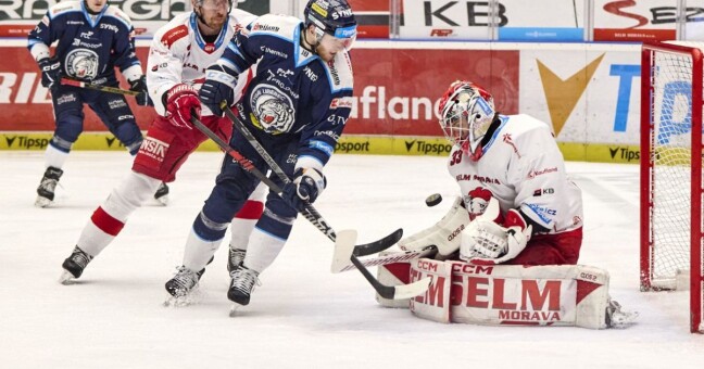 Zdroj: Bílí Tygří Liberec