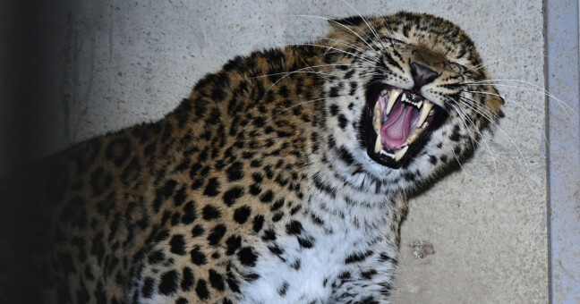 zdroj: Zoo Olomouc