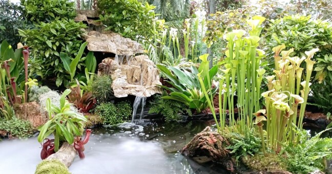 Zdroj: Flora Olomouc