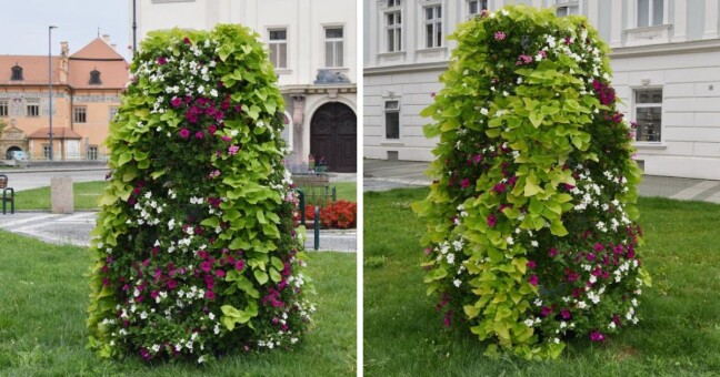 Zdroj: Město Prostějov