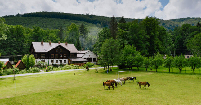zdroj: Ceny kraje