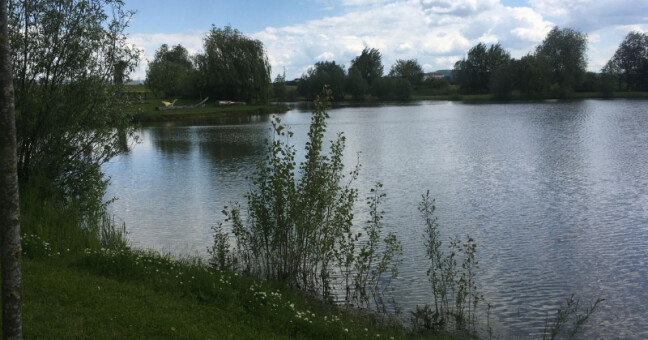 Amerika v Olomouci - Holici, zdroj: Mapy.cz