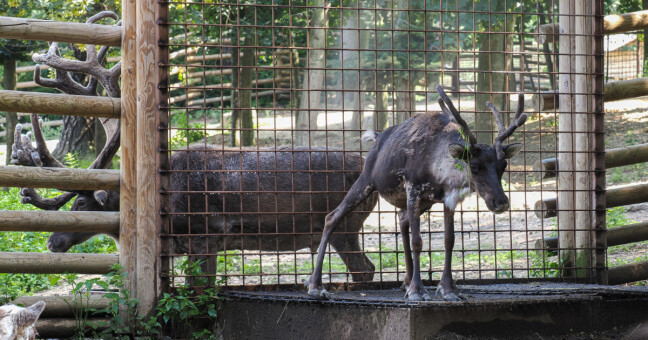 Zdroj: Zoo Olomouc