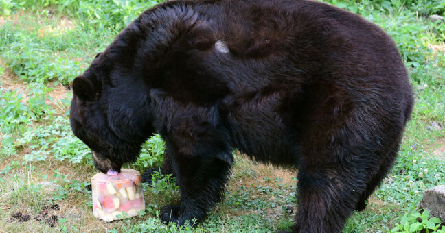 zdroj: Zoo Olomouc