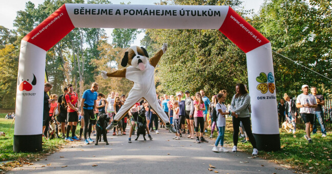 Zdroj: Běhejme a pomáhejme útulkům