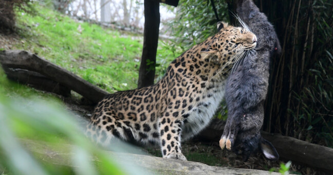 zdroj: Zoo Olomouc