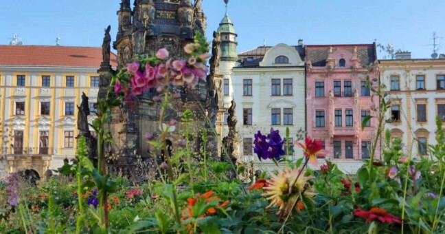 Květinová výzdoba na Horním náměstí | foto Olomouc.eu