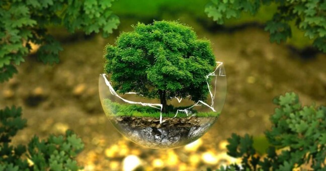 ilustrační foto Pixabay.com