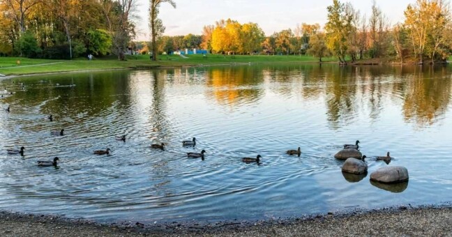 Voda ve Velké Laguně není vhodná ke koupání, foto: prerov.eu