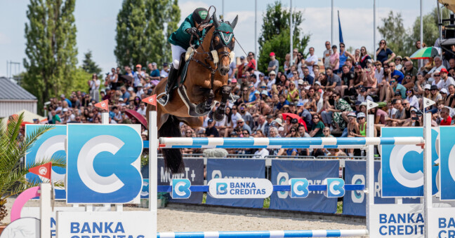 Zdroj: CSI Olomouc