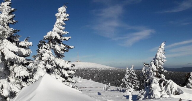 Ilustrační fotografie: CHKO Jeseníky 