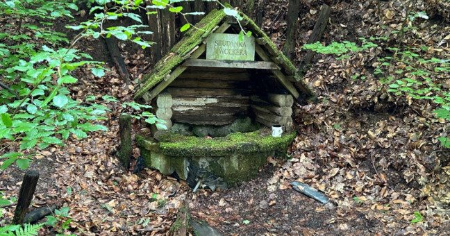 Studánka Wolkerka, zdroj: Olga Němcová, členka komise městké část Svatý Kopeček a spoluautorka akce.