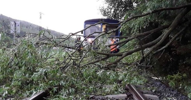 Popadané větve na železniční trati. | zdroj: HZS Olomouckého kraje