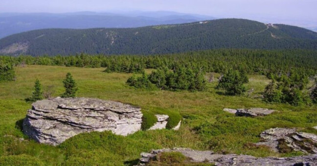 Zdroj: Město Jeseník