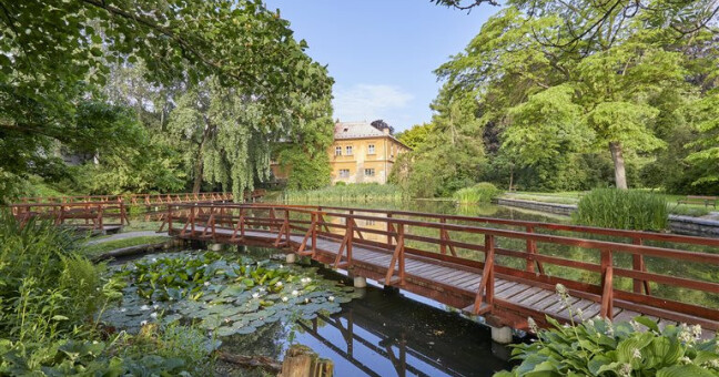 Foto: Vlastivědné muzeum v Olomouci