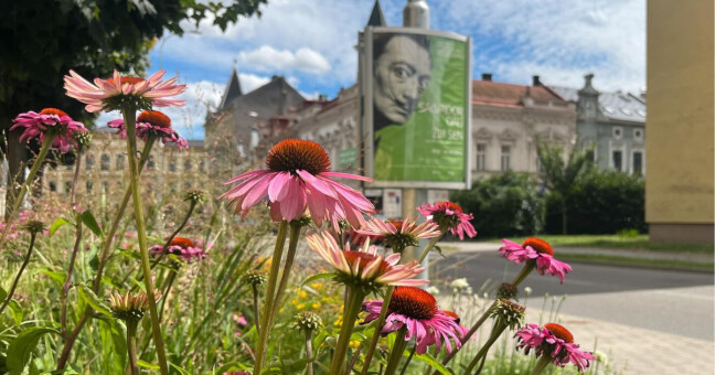 zdroj: Galerie města Přerova