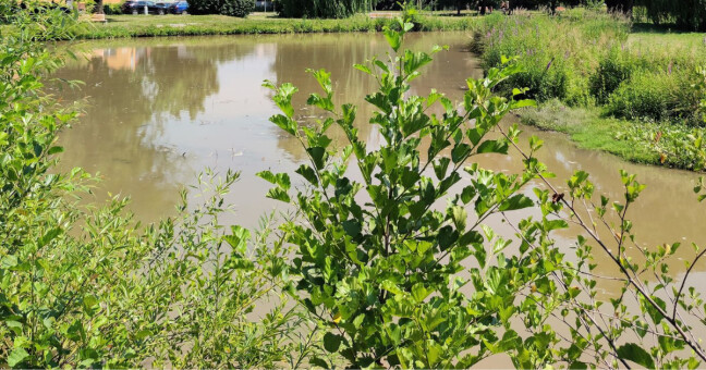 Zdroj: Mapy.cz / Stanislav Kylar