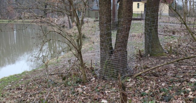 Zdroj: Město Přerov