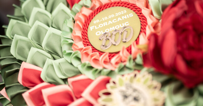 zdroj: Floracanis 2023