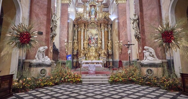 Zdroj: Flora Olomouc