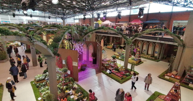 Ilustrační foro: Podzimní Flora Olomouc 2022, zdroj: Olomoucký Report