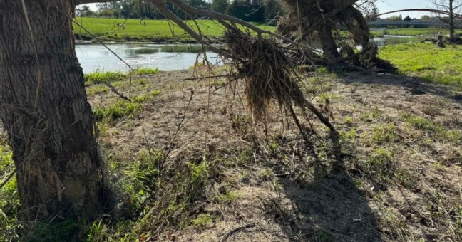 Zdroj: Město Olomouc