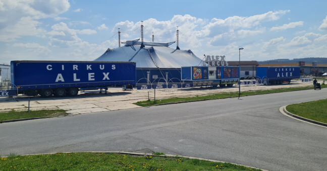 zdroj: Cirkus Alex
