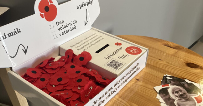 Památku válečných veteránů připomíná symbol vlčích máků. Zdroj: Olomoucký Report