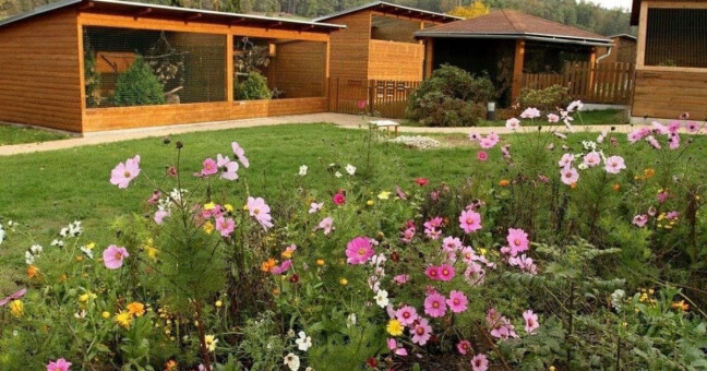 zdroj: město Hranice