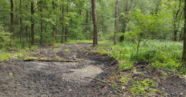 zdroj: CHKO Litovelské Pomoraví