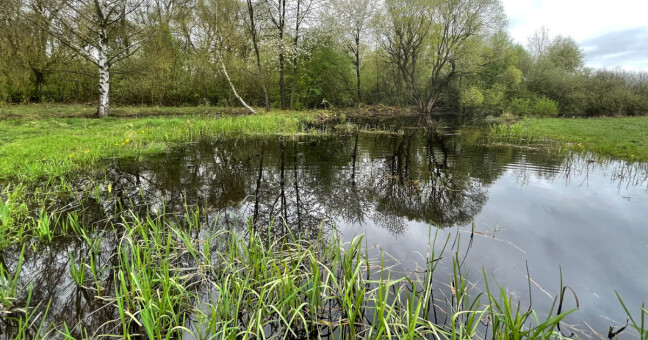 zdroj: CHKO Litovelské Pomoraví