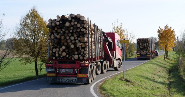 Zdroj: Lesy České republiky
