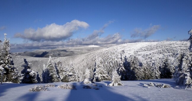 Zdroj: CHKO Jeseníky 