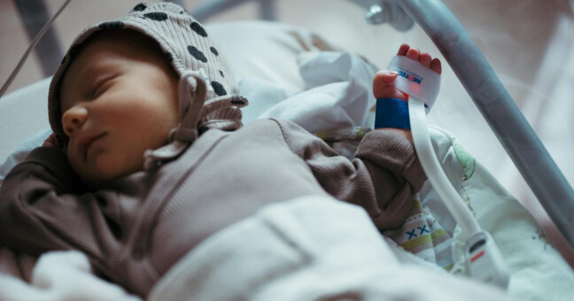 foto: Lukáš Navara / FNOL