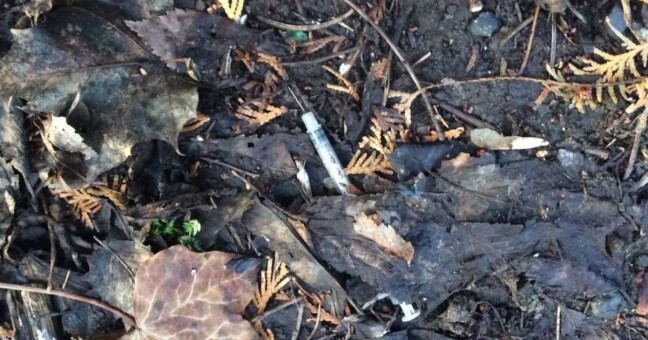 Zdroj: Městská policie Olomouc 