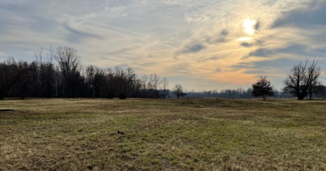 Zdroj: CHKO Litovelské Pomoraví; foto: Richard Kabelka
