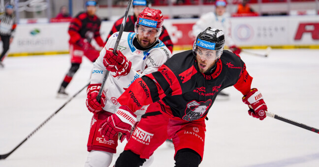 zdroj: Vojtěch Zajíc