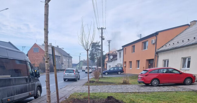 Zdroj: Roman Vaněk, Magistrát města Olomouce